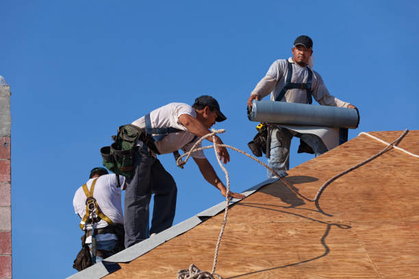 Best Tile Roofing Contractor  in Purvis, MS
